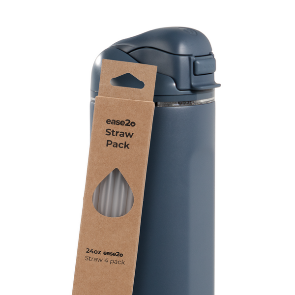 Ease2o Straws 4 Pack 24oz D1